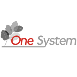 One System